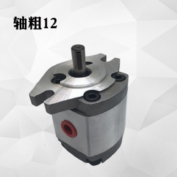 gear pump